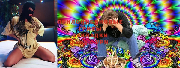 бутират Лагань